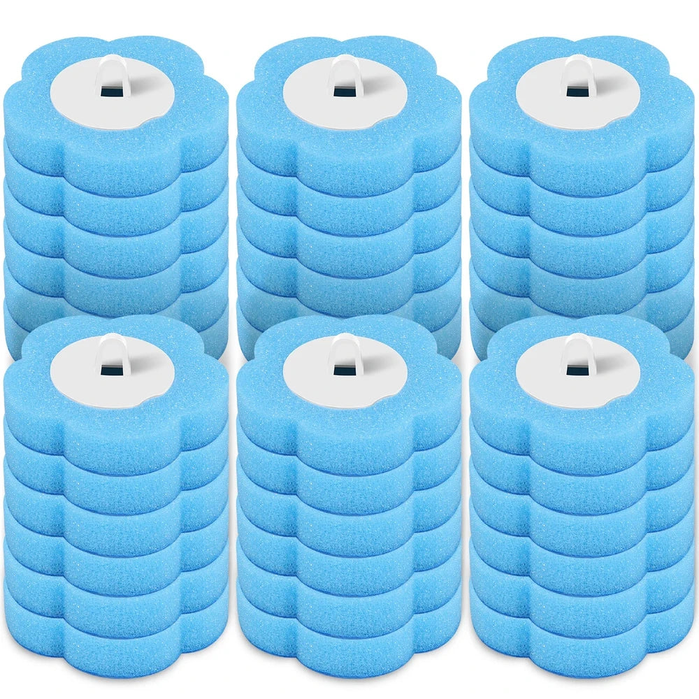 Système de nettoyage WC Brillora
